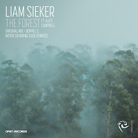 Liam Sieker - The Forest Feat. Alice Campbell (Weird Sounding Dude Remix) (Feat. Alice Campbell) загрузить