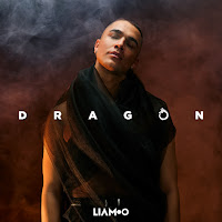 Liamoo - Dragon загрузить