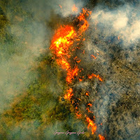 Lilyisthatyou - Gorgeous Gorgeous Girls загрузить