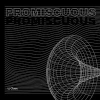 Ll Clawz - Promiscuous загрузить