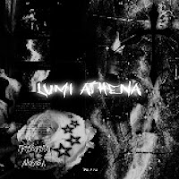 Lumi Athena - Fluxuista! загрузить