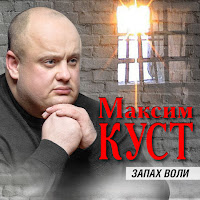 Максим Куст - Я Ещё Живой загрузить