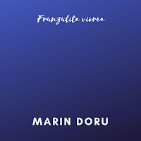 Marin Doru - Fugi D-Aci Femeie Rea загрузить