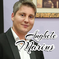 Marius Anghele - Văzui Tinereţea Mea загрузить