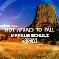 Markus Schulz - Not Afraid To Fall (The Wlt Remix) Ft Christina Novelli загрузить