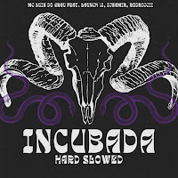 Mc Luis Do Grau - Incubada Hard Slowed (Feat. Launch 13, Djsamir & Rodriccii) загрузить