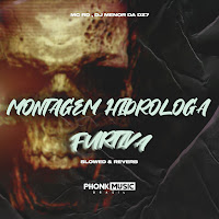 Mc Rd - Montagem Hidróloga Furtiva Ft Dj Menor Da Dz7 загрузить