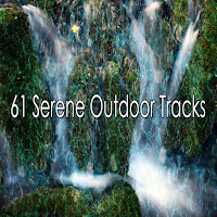 Meditation Awareness - Critical Thinking загрузить