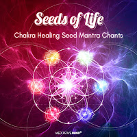 Meditative Mind - Quick Heal: All 7 Chakras Seed Mantra Chants загрузить