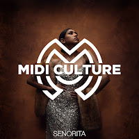 Midi Culture - Senorita (Radio Edit) загрузить
