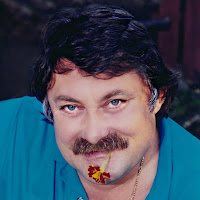 Микола Мозговий - Зачаровані Слова загрузить