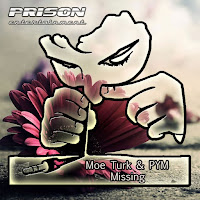 Moe Turk - Missing загрузить