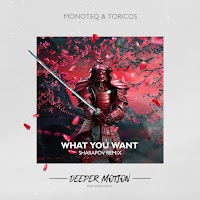 Monoteq - What You Want (Sharapov Remix) Ft Toricos загрузить