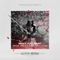 Monoteq - What You Want (Barbary & Shaen Remix) Ft Toricos загрузить