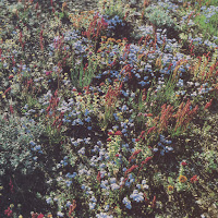 Motorama - The Tower загрузить