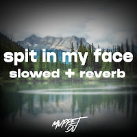 Muppet Dj - Spit In My Face (Slowed + Reverb) (Remix) Ft Seca Records загрузить