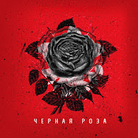 Murat Gamidov - Чёрная Роза Ft Магамед Халилов загрузить