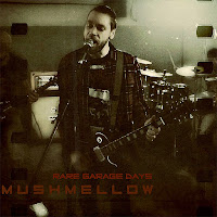 Mushmellow - Amazed загрузить
