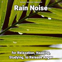 Nature Sounds - Buddhism Ft Regengeräusche & Rain Sounds загрузить