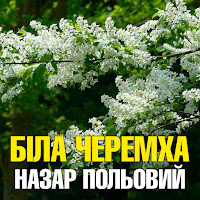 Обложка песни 