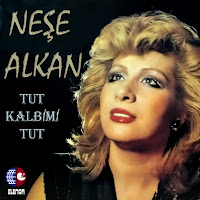 Neşe Alkan - Sen Olmadığın Zaman загрузить