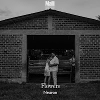 Neuron - Flowers загрузить