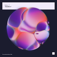 Niall T - Know U загрузить