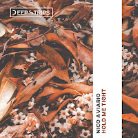 Nico Aviario - Hold Me Tight загрузить