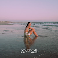 Nicole Wallace - Devuélveme загрузить