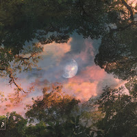 Nils Hoffmann - Holding Me Back (Feat. The Kite String Tangle) загрузить