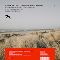 Noiyse Project - Running Mavka Ft Shannon Davin загрузить