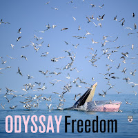 Odyssay - Freedom (Extended Mix) загрузить