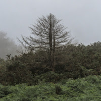 Ólafur Arnalds - Epilogue загрузить