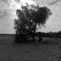 Onative - Veins загрузить