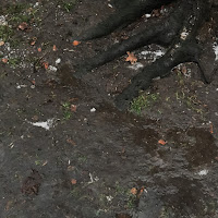 Овсянкин - Осталось Только Обоссать загрузить