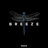 Paccu - Breeze (Extended Mix) загрузить