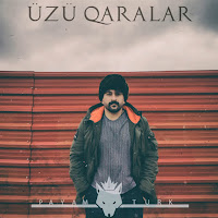 Payam Turk - Üzü Qaralar загрузить