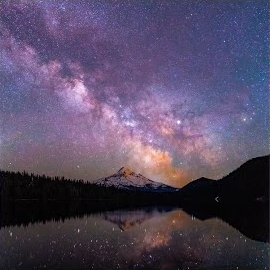 Penguin Piano - Rush Of Life загрузить