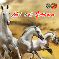 Petrecere La Romani - Adu' Caii Simioane ,Tanto , Tanto загрузить