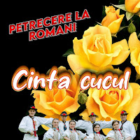 Petrecere La Romani - Fata Mamei Ce Vrei Tu загрузить