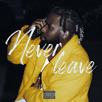 Phøenixx - Never Leave загрузить