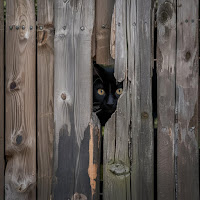 Phonk Beat Hit - Enough Drift Phonk загрузить