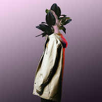 Plüm - Flower загрузить