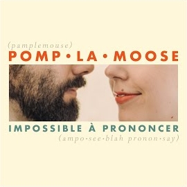 Pomplamoose - Comment Te Dire Adieu загрузить