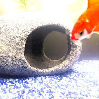 Quality Assurance - Joining The Army загрузить