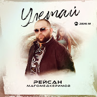 Рейсан Магомедкеримов - Улетай загрузить