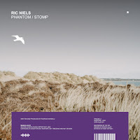 Ric Niels - Stomp загрузить