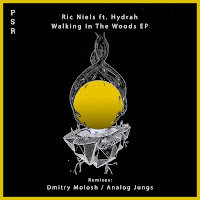 Ric Niels - Walking In The Woods Feat. Hydrah (Feat. Hydrah) загрузить