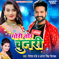 Ritesh Pandey - Gori Tor Chunari Ft Antara Singh Priyanka загрузить