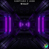 Rnbstylerz - What (Extended Mix) Ft Arees загрузить